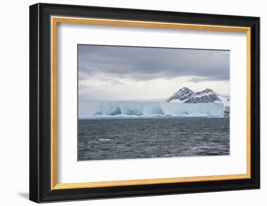 Floating iceberg on Elephant Island, South Shetland Islands, Antarctica, Polar Regions-Michael Runkel-Framed Photographic Print