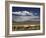 Floating Islands of Uros People, Traditional Reed Boats and Reed Houses, Lake Titicaca, Peru-Simon Montgomery-Framed Photographic Print