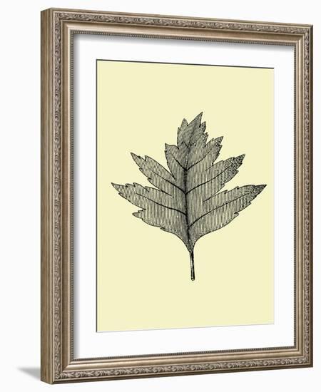 Floating Leaf I-Jasmine Woods-Framed Art Print