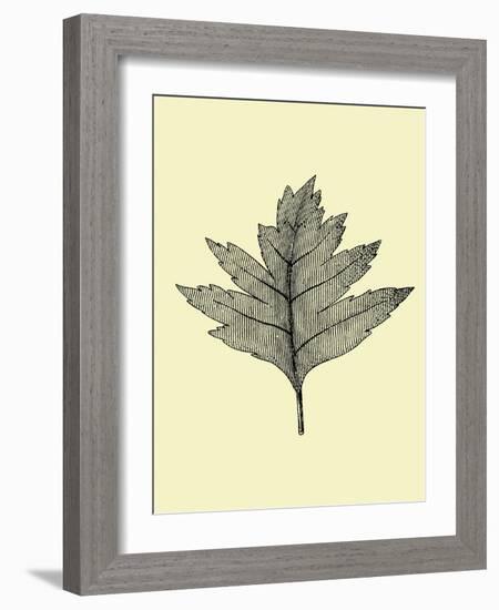 Floating Leaf I-Jasmine Woods-Framed Art Print