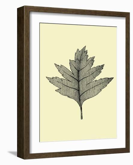 Floating Leaf I-Jasmine Woods-Framed Art Print