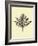 Floating Leaf I-Jasmine Woods-Framed Art Print