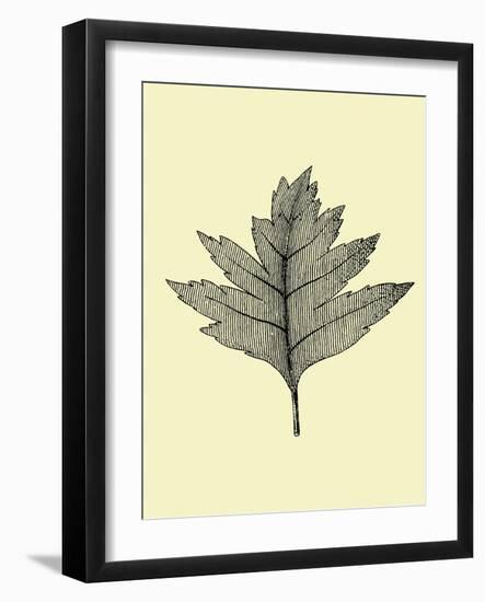 Floating Leaf I-Jasmine Woods-Framed Art Print