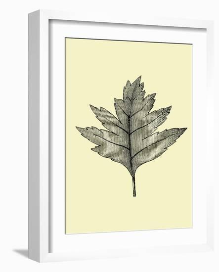 Floating Leaf I-Jasmine Woods-Framed Art Print