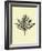 Floating Leaf I-Jasmine Woods-Framed Art Print