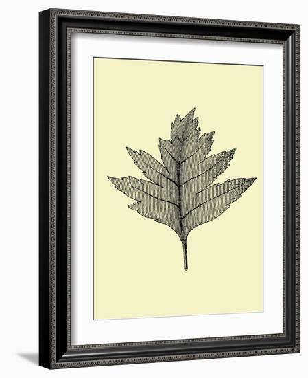 Floating Leaf I-Jasmine Woods-Framed Art Print