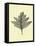 Floating Leaf I-Jasmine Woods-Framed Stretched Canvas