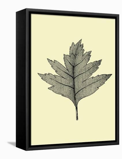 Floating Leaf I-Jasmine Woods-Framed Stretched Canvas