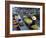 Floating Market, Damnoen Saduak, Near Bangkok, Thailand, Asia-Bruno Morandi-Framed Photographic Print