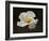 Floating Matilija I-Rita Crane-Framed Photographic Print