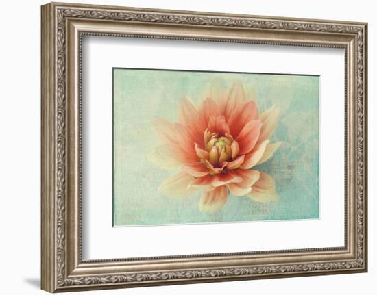 Floating on Air-Judy Stalus-Framed Premium Giclee Print