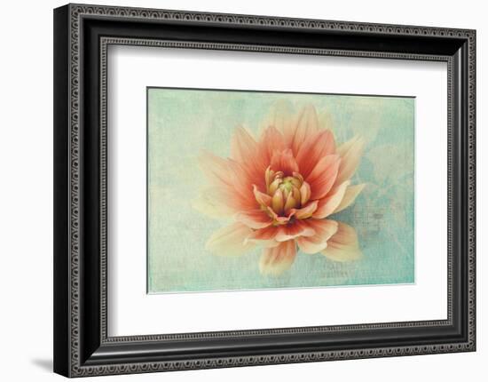 Floating on Air-Judy Stalus-Framed Premium Giclee Print