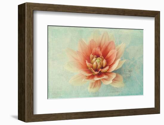 Floating on Air-Judy Stalus-Framed Premium Giclee Print
