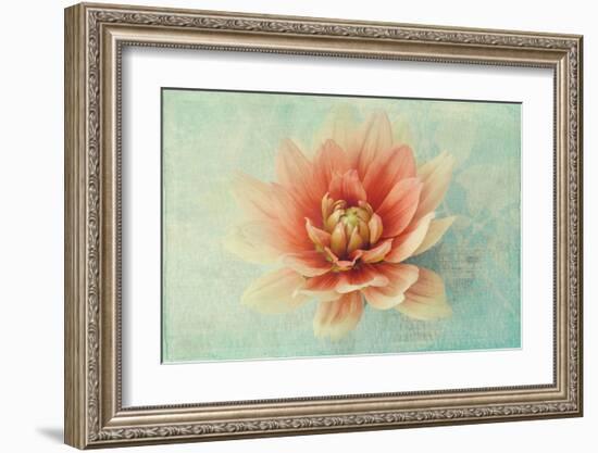 Floating on Air-Judy Stalus-Framed Art Print