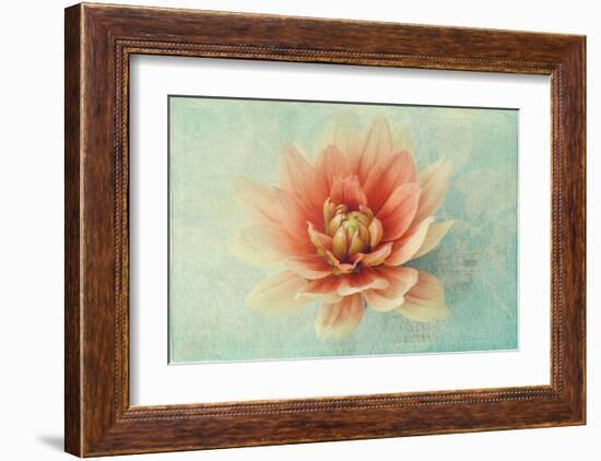 Floating on Air-Judy Stalus-Framed Art Print