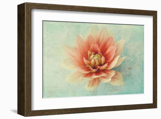 Floating on Air-Judy Stalus-Framed Art Print