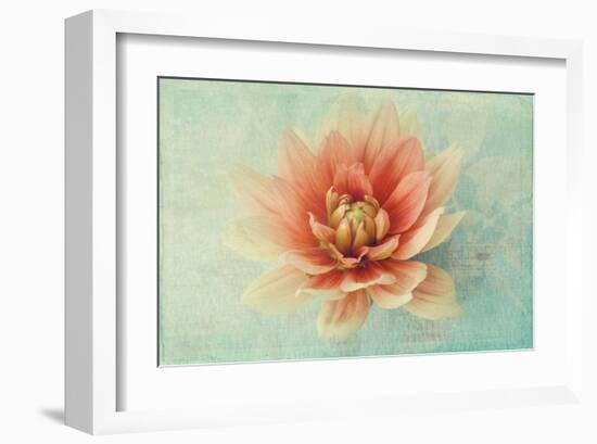 Floating on Air-Judy Stalus-Framed Art Print