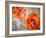 Floating Poppies Two-Diane Millsap-Framed Art Print