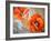 Floating Poppies Two-Diane Millsap-Framed Art Print