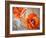 Floating Poppies Two-Diane Millsap-Framed Art Print