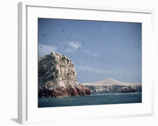 Flock of Birds Above the Coast Near Pisco, Peru, South America-Rob Cousins-Framed Photographic Print