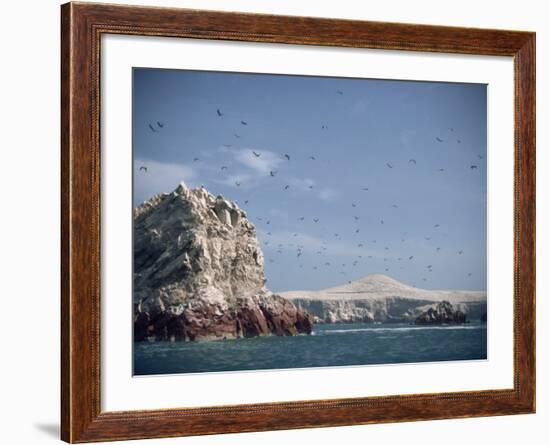 Flock of Birds Above the Coast Near Pisco, Peru, South America-Rob Cousins-Framed Photographic Print