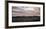 Flock of Birds, Glaucomas over the Federsee (Lake) at Bad Buchau (Village), Germany-Markus Leser-Framed Photographic Print