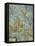 Flock of Birds; Vogelsammlung-Paul Klee-Framed Premier Image Canvas