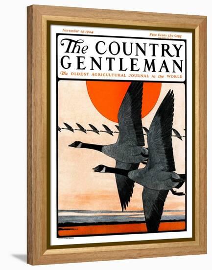 "Flock of Geese in Formation," Country Gentleman Cover, November 15, 1924-Paul Bransom-Framed Premier Image Canvas