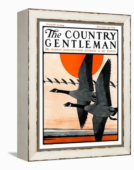 "Flock of Geese in Formation," Country Gentleman Cover, November 15, 1924-Paul Bransom-Framed Premier Image Canvas