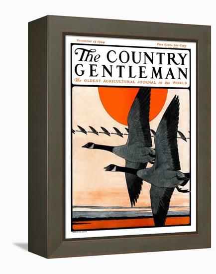 "Flock of Geese in Formation," Country Gentleman Cover, November 15, 1924-Paul Bransom-Framed Premier Image Canvas