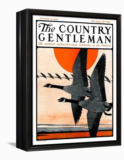 "Flock of Geese in Formation," Country Gentleman Cover, November 15, 1924-Paul Bransom-Framed Premier Image Canvas