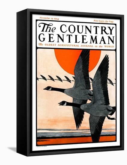 "Flock of Geese in Formation," Country Gentleman Cover, November 15, 1924-Paul Bransom-Framed Premier Image Canvas