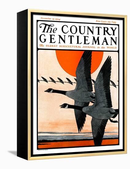 "Flock of Geese in Formation," Country Gentleman Cover, November 15, 1924-Paul Bransom-Framed Premier Image Canvas