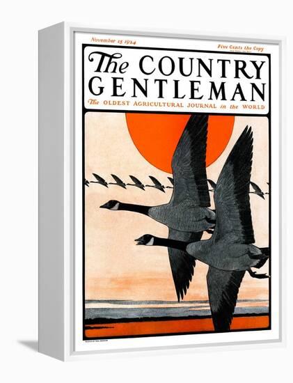 "Flock of Geese in Formation," Country Gentleman Cover, November 15, 1924-Paul Bransom-Framed Premier Image Canvas