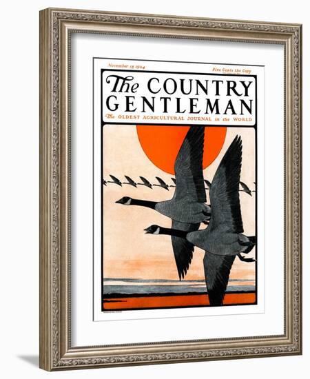 "Flock of Geese in Formation," Country Gentleman Cover, November 15, 1924-Paul Bransom-Framed Giclee Print