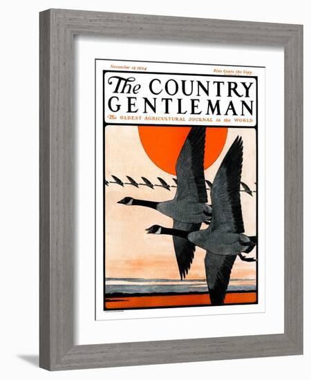 "Flock of Geese in Formation," Country Gentleman Cover, November 15, 1924-Paul Bransom-Framed Giclee Print