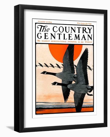 "Flock of Geese in Formation," Country Gentleman Cover, November 15, 1924-Paul Bransom-Framed Giclee Print