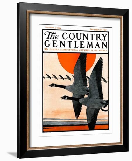 "Flock of Geese in Formation," Country Gentleman Cover, November 15, 1924-Paul Bransom-Framed Giclee Print