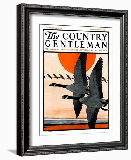 "Flock of Geese in Formation," Country Gentleman Cover, November 15, 1924-Paul Bransom-Framed Giclee Print