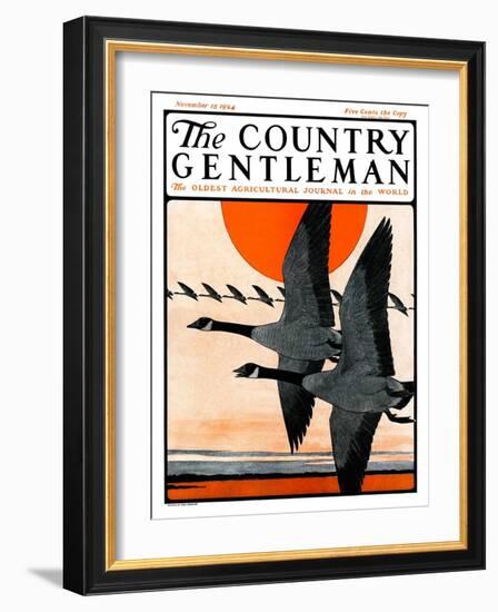 "Flock of Geese in Formation," Country Gentleman Cover, November 15, 1924-Paul Bransom-Framed Giclee Print