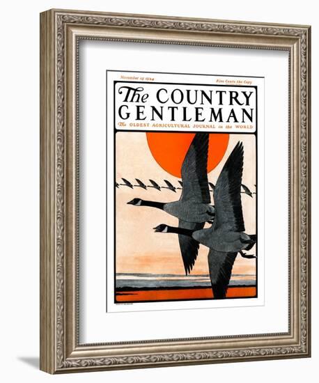 "Flock of Geese in Formation," Country Gentleman Cover, November 15, 1924-Paul Bransom-Framed Giclee Print