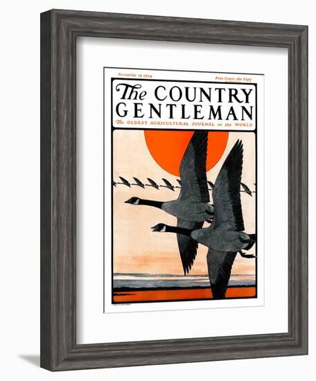 "Flock of Geese in Formation," Country Gentleman Cover, November 15, 1924-Paul Bransom-Framed Giclee Print