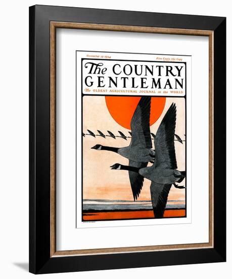 "Flock of Geese in Formation," Country Gentleman Cover, November 15, 1924-Paul Bransom-Framed Giclee Print