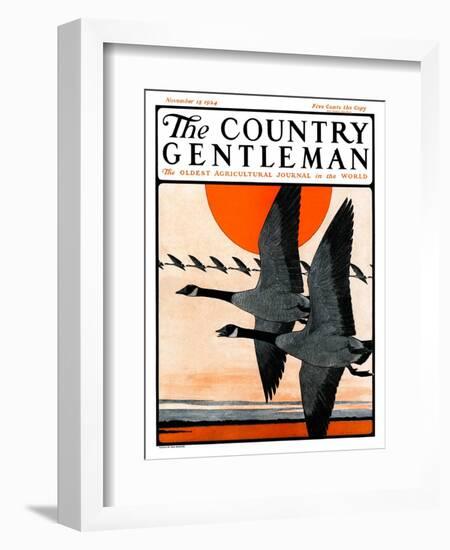 "Flock of Geese in Formation," Country Gentleman Cover, November 15, 1924-Paul Bransom-Framed Giclee Print