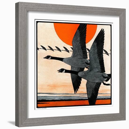 "Flock of Geese in Formation,"November 15, 1924-Paul Bransom-Framed Giclee Print