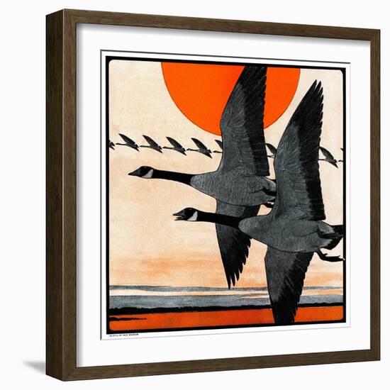 "Flock of Geese in Formation,"November 15, 1924-Paul Bransom-Framed Giclee Print