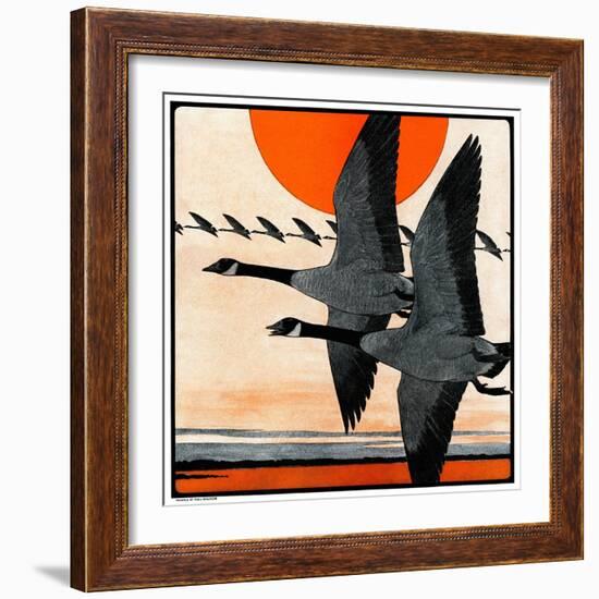 "Flock of Geese in Formation,"November 15, 1924-Paul Bransom-Framed Giclee Print