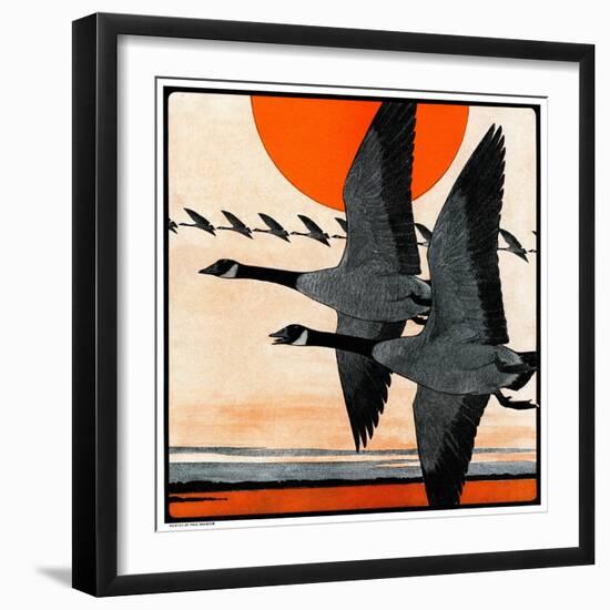 "Flock of Geese in Formation,"November 15, 1924-Paul Bransom-Framed Giclee Print