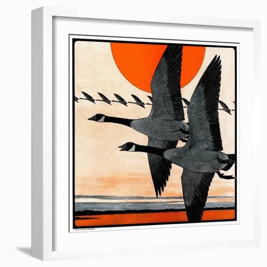 "Flock of Geese in Formation,"November 15, 1924-Paul Bransom-Framed Giclee Print